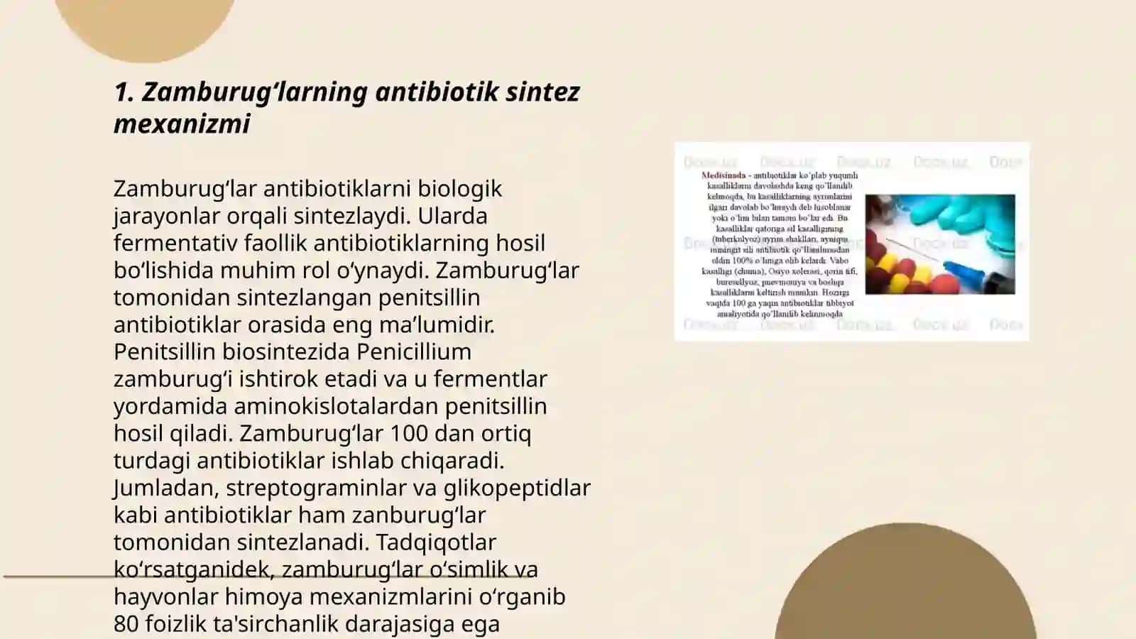 Zamburugʻlar sintez qiladigan antibiotiklar 3