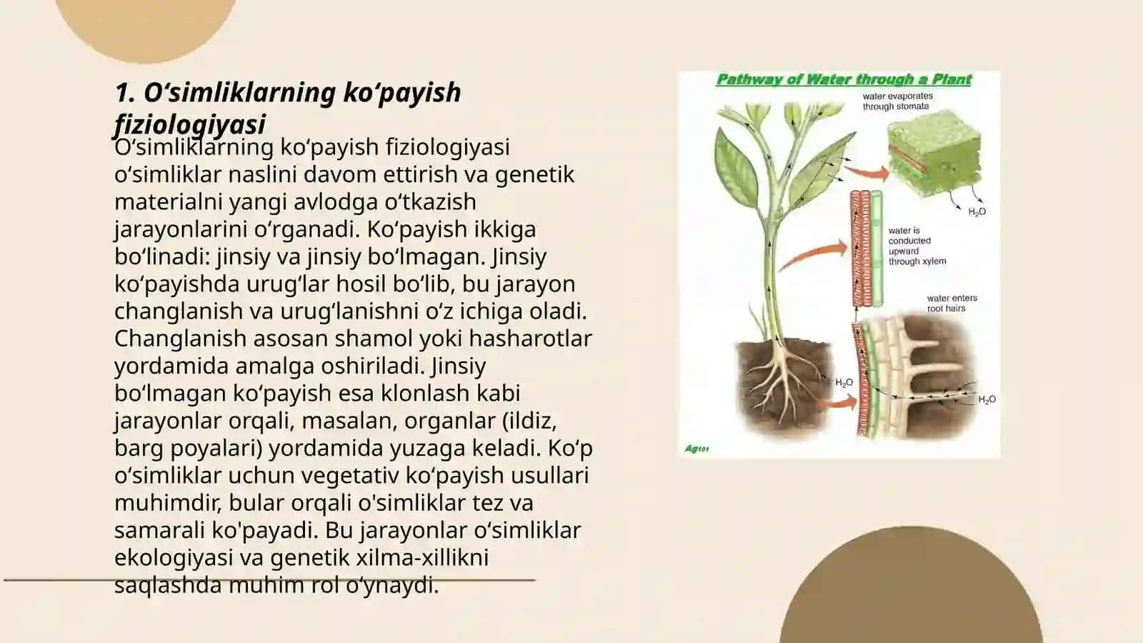 Oʻsimliklarning koʻpayish fiziologiyasi 3