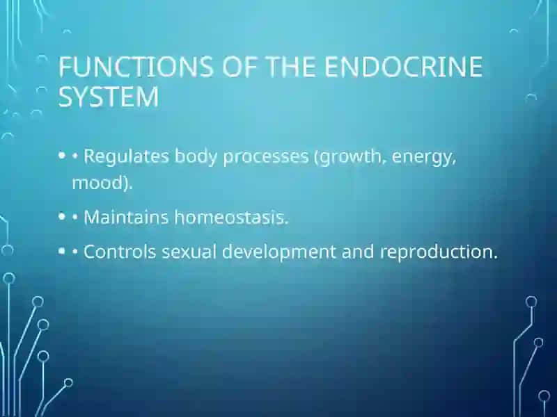 Endocrine System 3