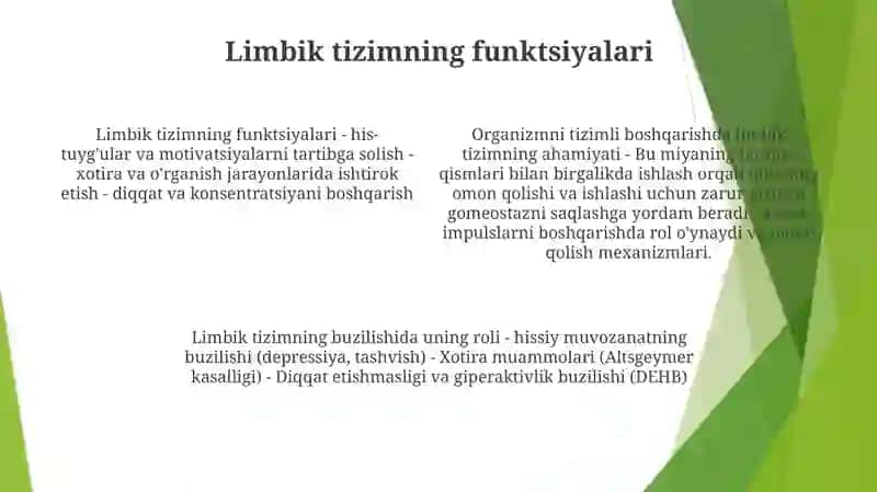 Organizmning Sistemali Boshqarilishida Limbik Tizimning Axamiyati 3