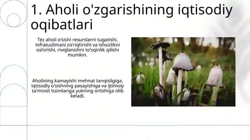 Demografik siyosat 3