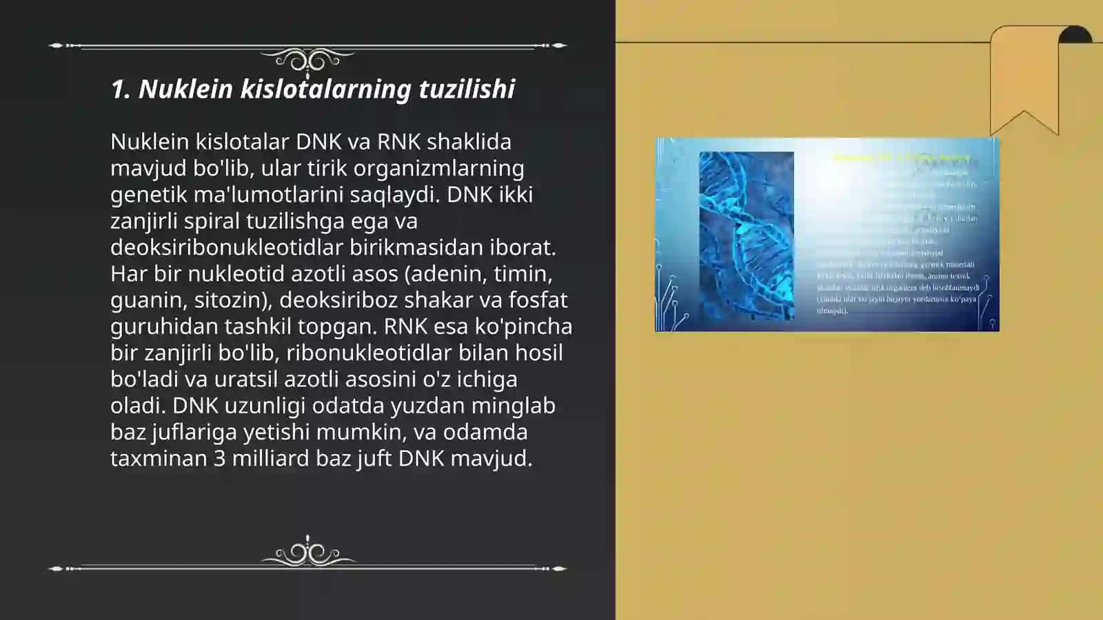Nuklein kislotalar 3