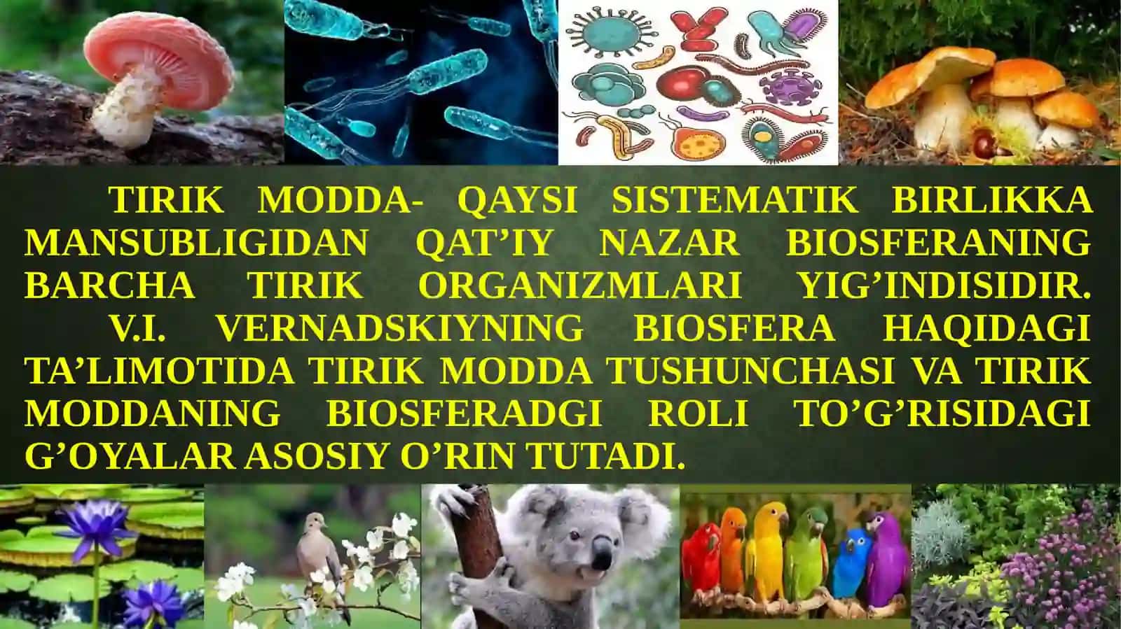BIOSFERADAGI TIRIK MODDANING XUSUSIYATLARI VA FUNKSIYALARI 3