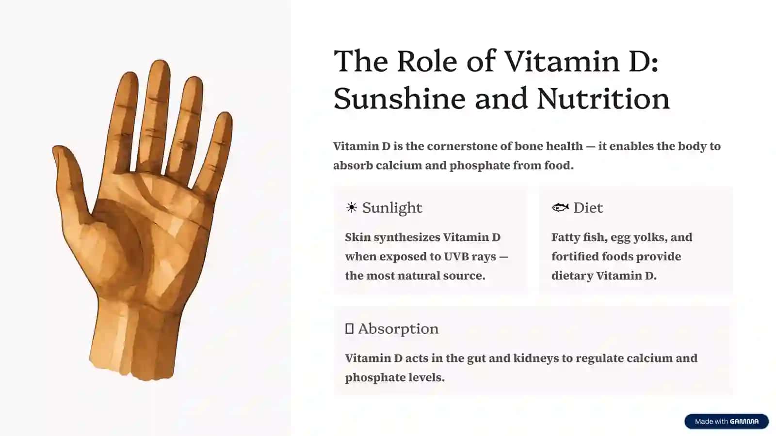 Rickets: Understanding the "Soft Bone" Disease 3