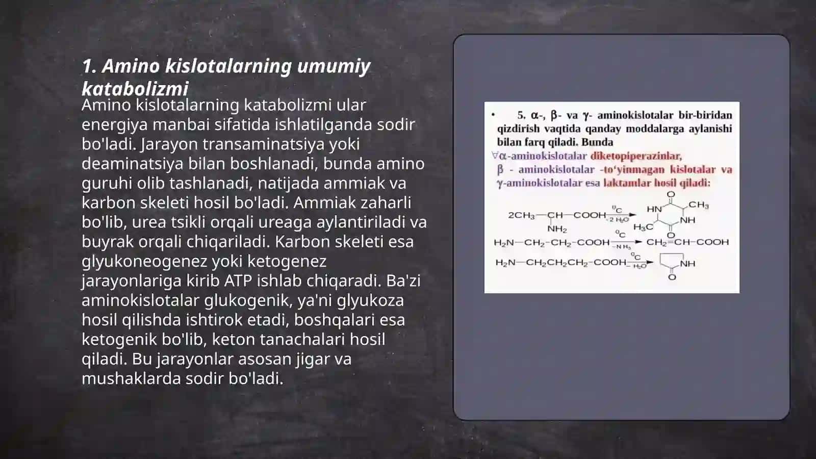 Aminokislotalar katabolizimi 3