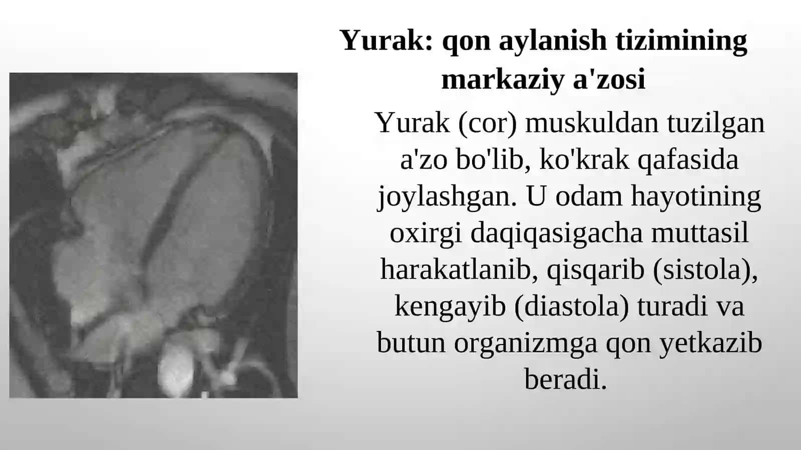 yurakning ahamiyati va tuzilishi 3