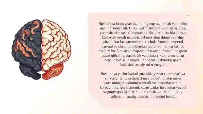 Bosh miya yarimsharlari funksional assimetriyasi 3