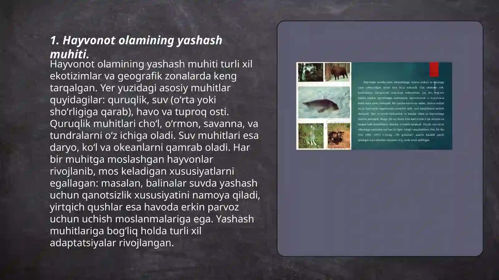 Hayvonot olamining yashash tarzi, ko'payishi va tarqalishi va turlari 3