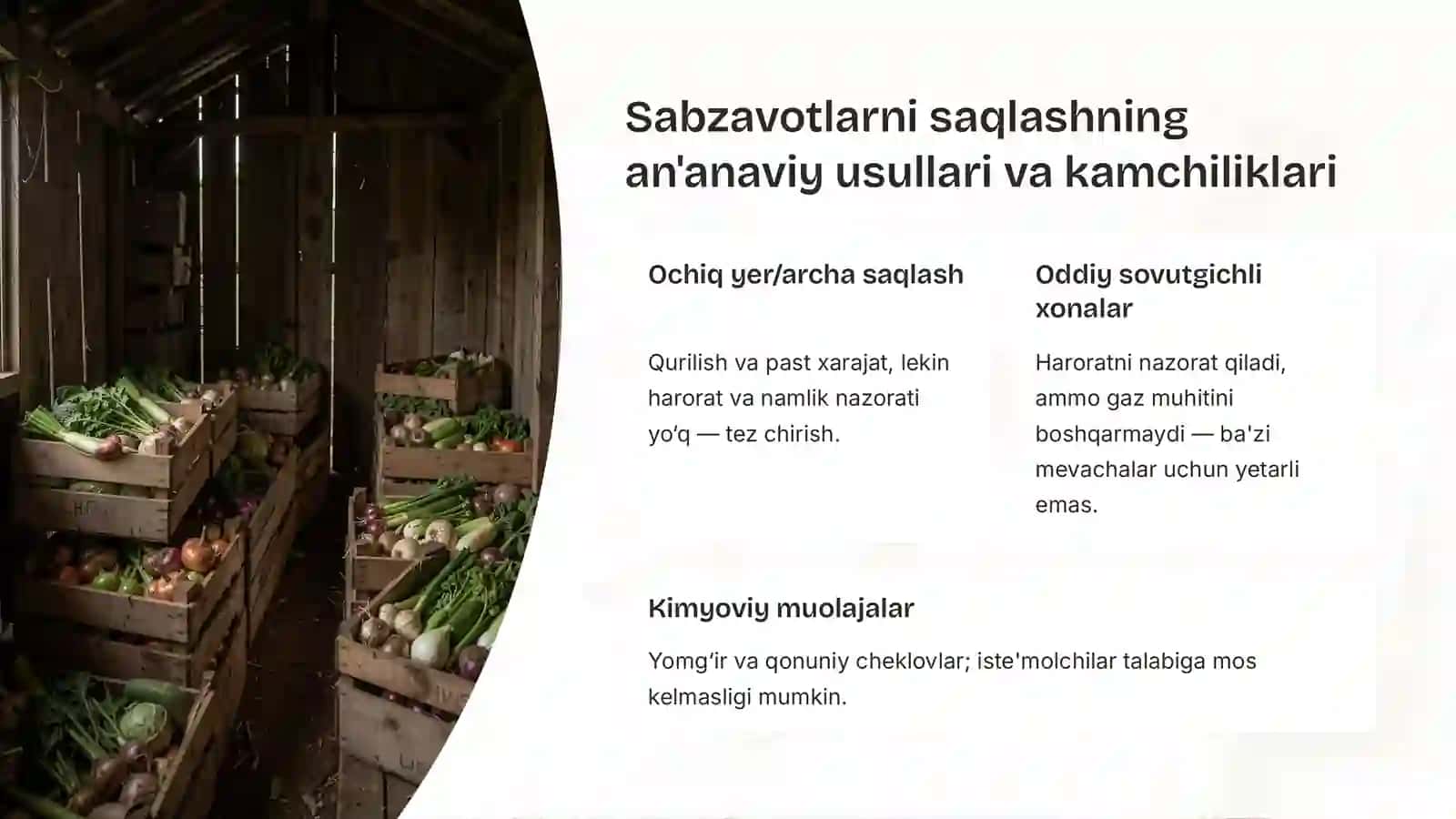 Sabzavot va poliz mahsulotlarini sovutgich omborlarda saqlash: Samaradorlik sirlari 3