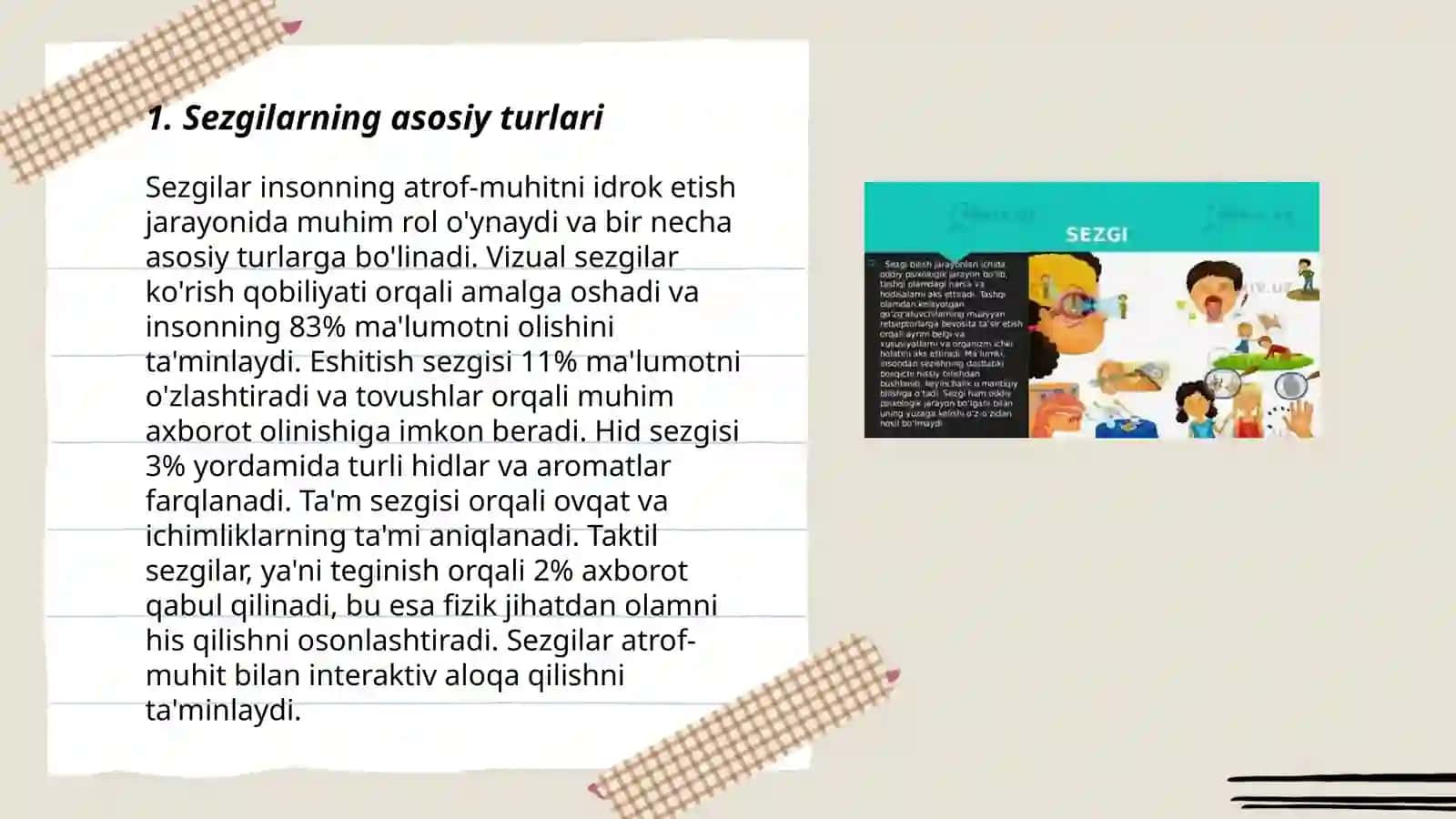 Sezgi 3