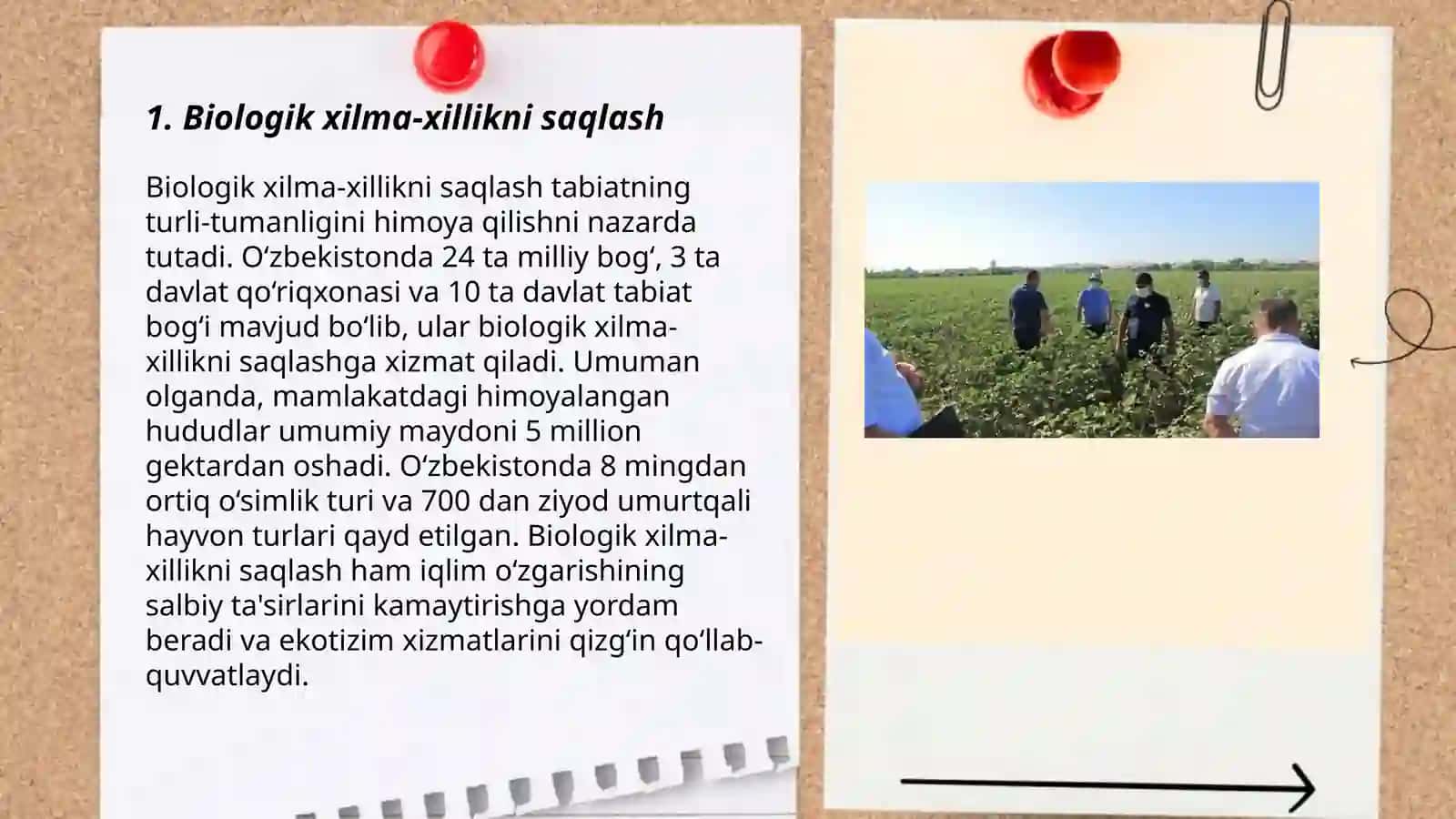 Ekologiya toza qishloq mahsulotlarini yetishtirish 3