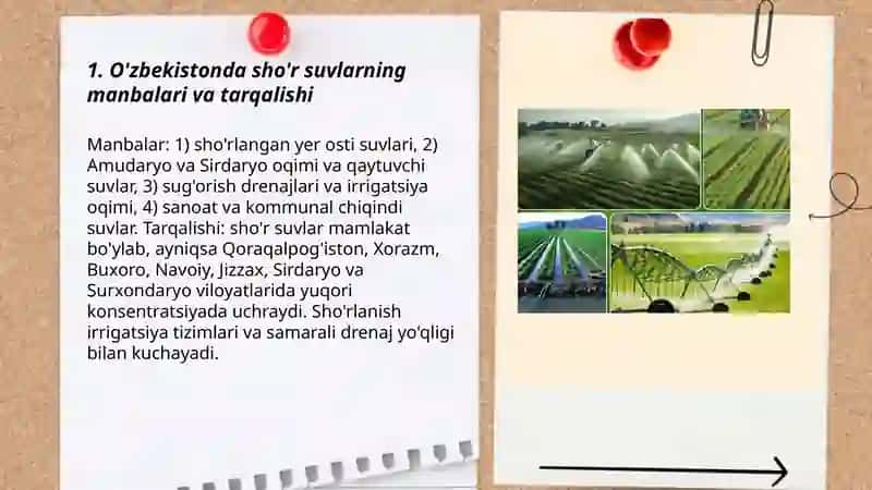 O'zbekiston sharoitida sho'r suvlarni chuchuklashtirish g'oyasini yaratish 3