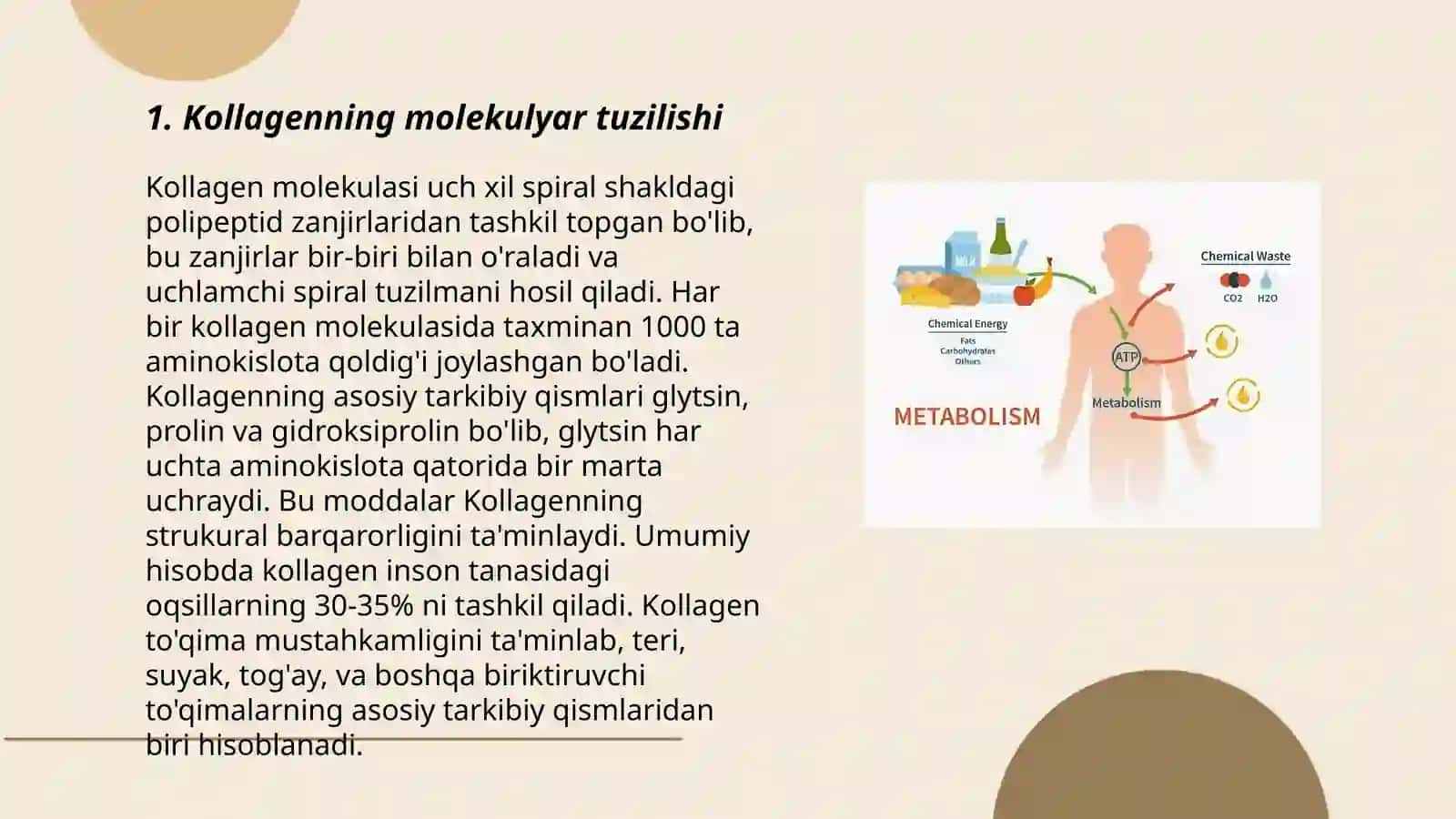 Kollagenning metabolizmi va uning almashinuvini boshqarilishi 3