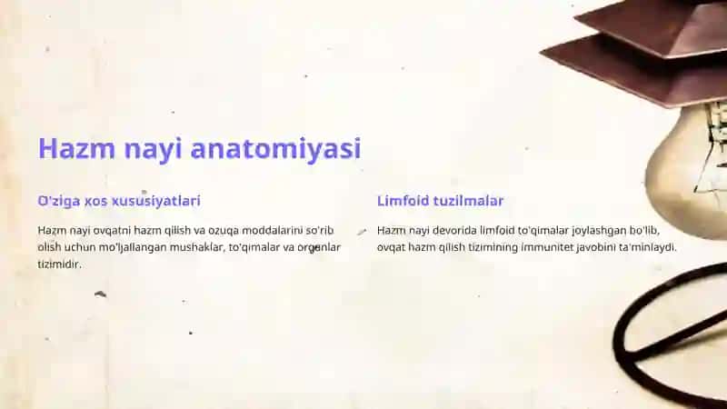 Hazm nayining limgoid tuzilmalari 3