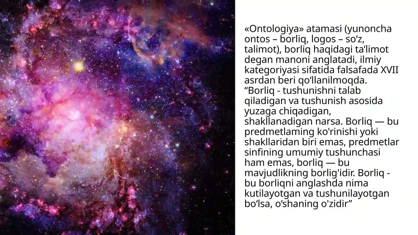 Borliq Falsafasi 3