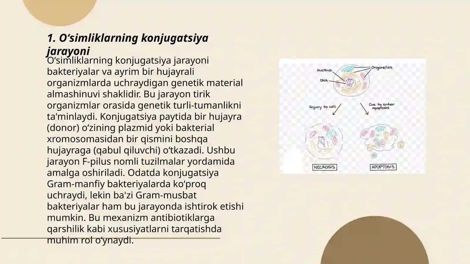 Oʻsimliklarda jinsiy hujayralarning hosil boʻlishi tahlil 3