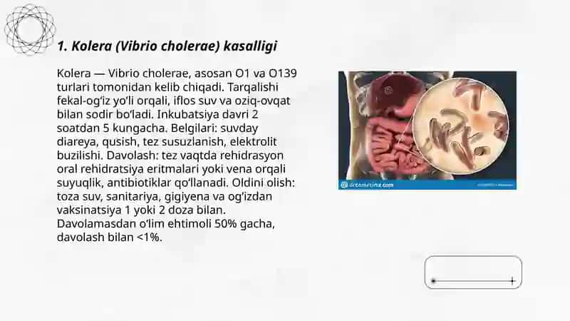 Kolera (Vibrio cholerae) kasalligi 3