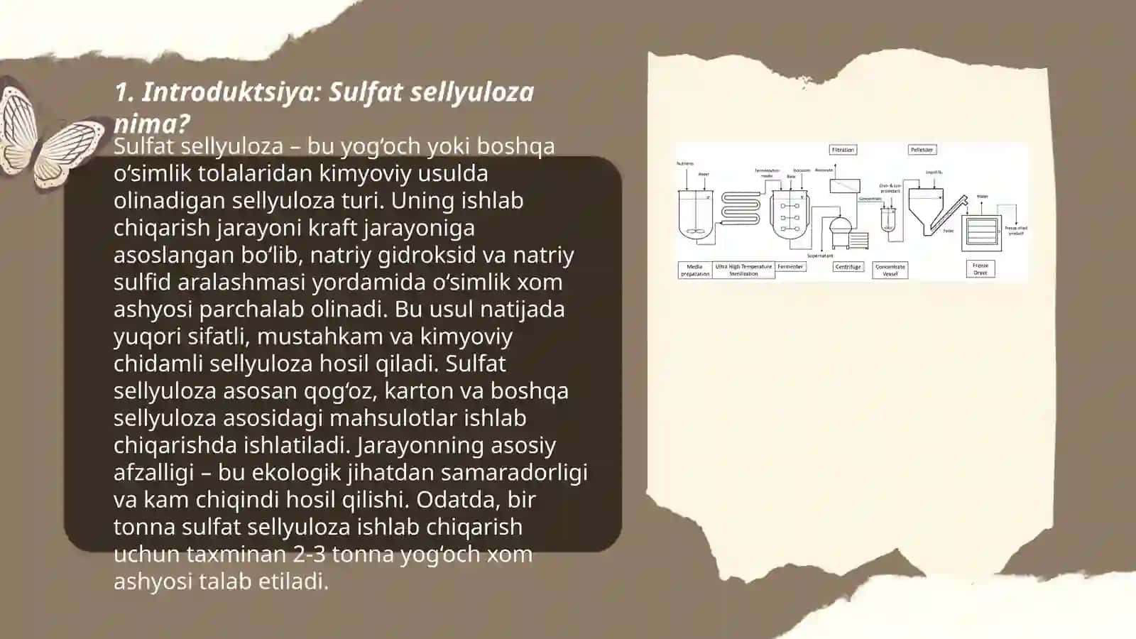 Sulfat sellyulozasini ishlab chiqarish 3