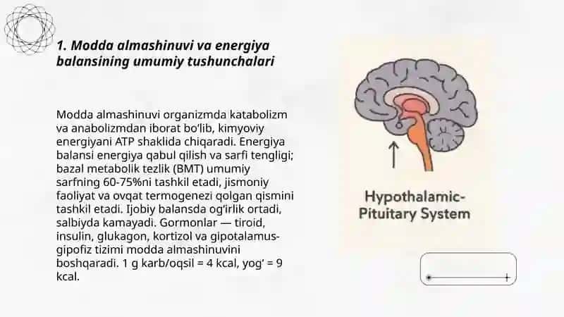 Moddalar va energiya almashinuvini oʻrganish 3