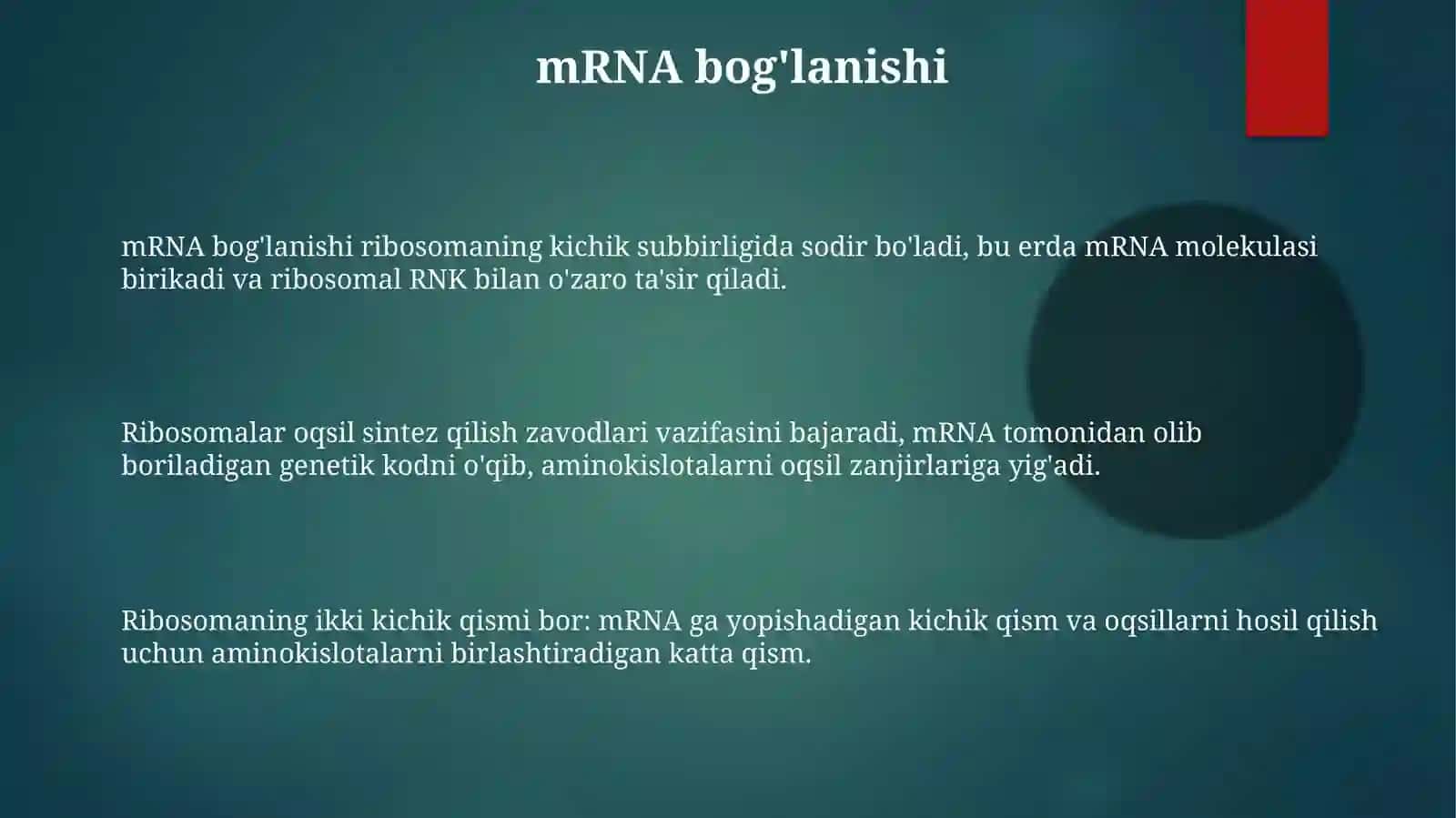Ribosoma tuzilishi va vazifalari 3