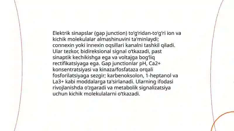 Sinaps turlari va moddalarga sezgirligi 3
