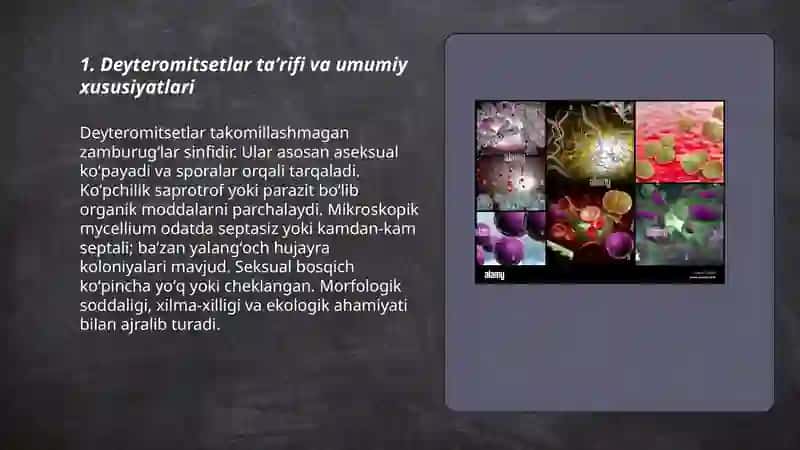 Deyteromitsetlar sinfining umumiy tavsifi 3