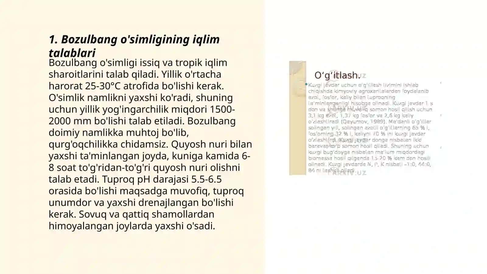 Bozulbang o'simligining yetishtirish texnologiyasi 3