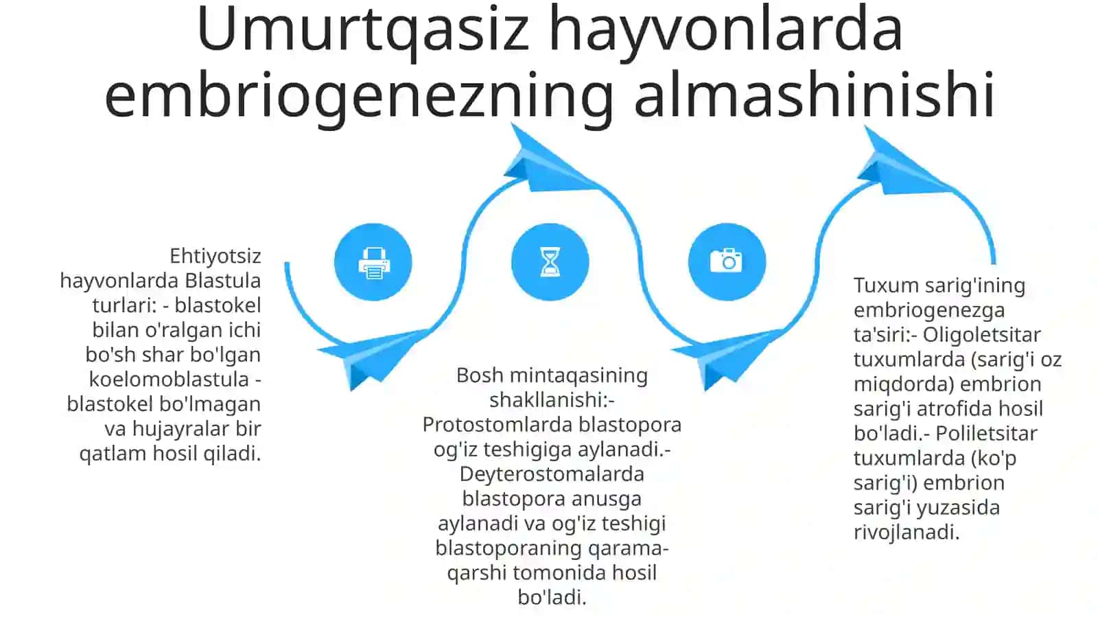 Umurtqali Va Umurtqasiz Hayvonlar Misolida Embriogenezning Almashinib Turishi 3