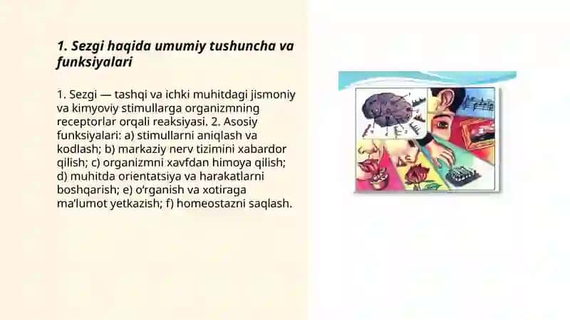 Sezgilar haqida umumiy tushuncha. Sezgi turlari va uning qonuniyatlari 3