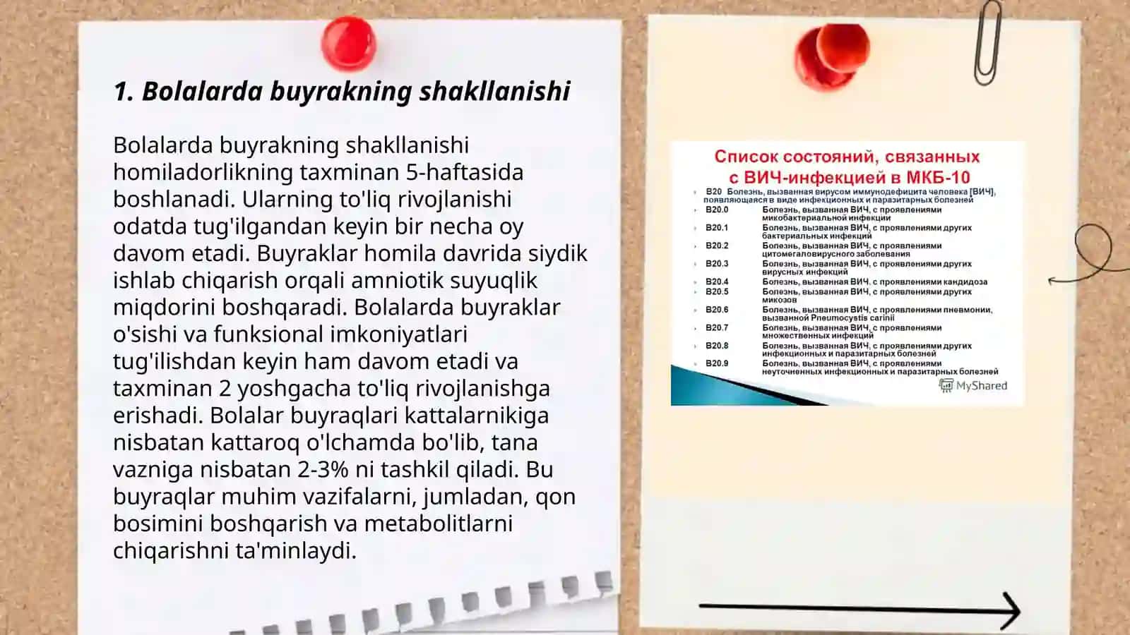 Bolalarda buyraklarning anatomo-fiziologik xususiyatlari 3
