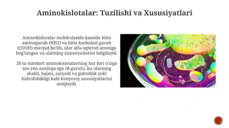 Aminokislotalar, Nukleotidlar, va ularning metobolizimi bilan boĝliq molekulalar 3
