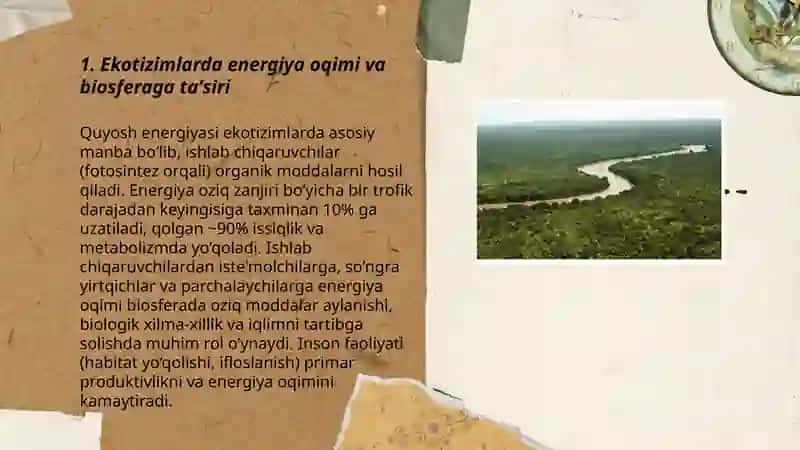 Ekotizim jarayonlarini biosferaga tasiri 3