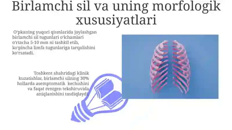 O'pkaning funksional morfologiyasi 3