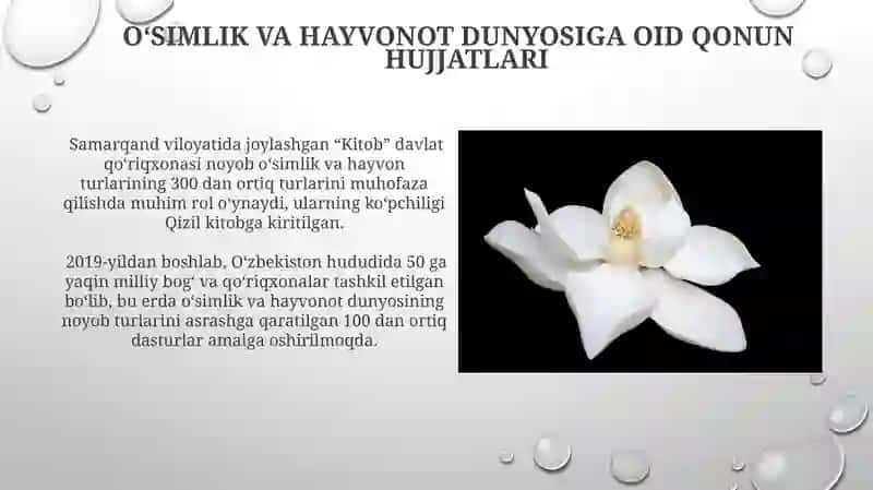 O'simlik va Hayvonot Dunyosini Muhofaza Qilish va Undan Foydalanishning Huquqiy Tartibi 3
