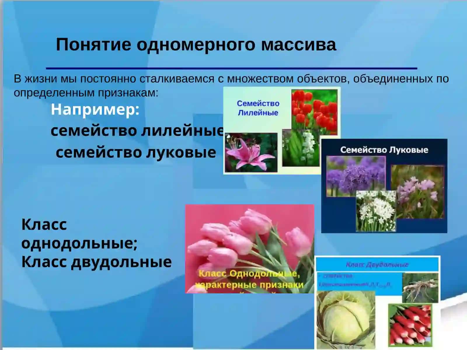 Понятие одномерного массива 3