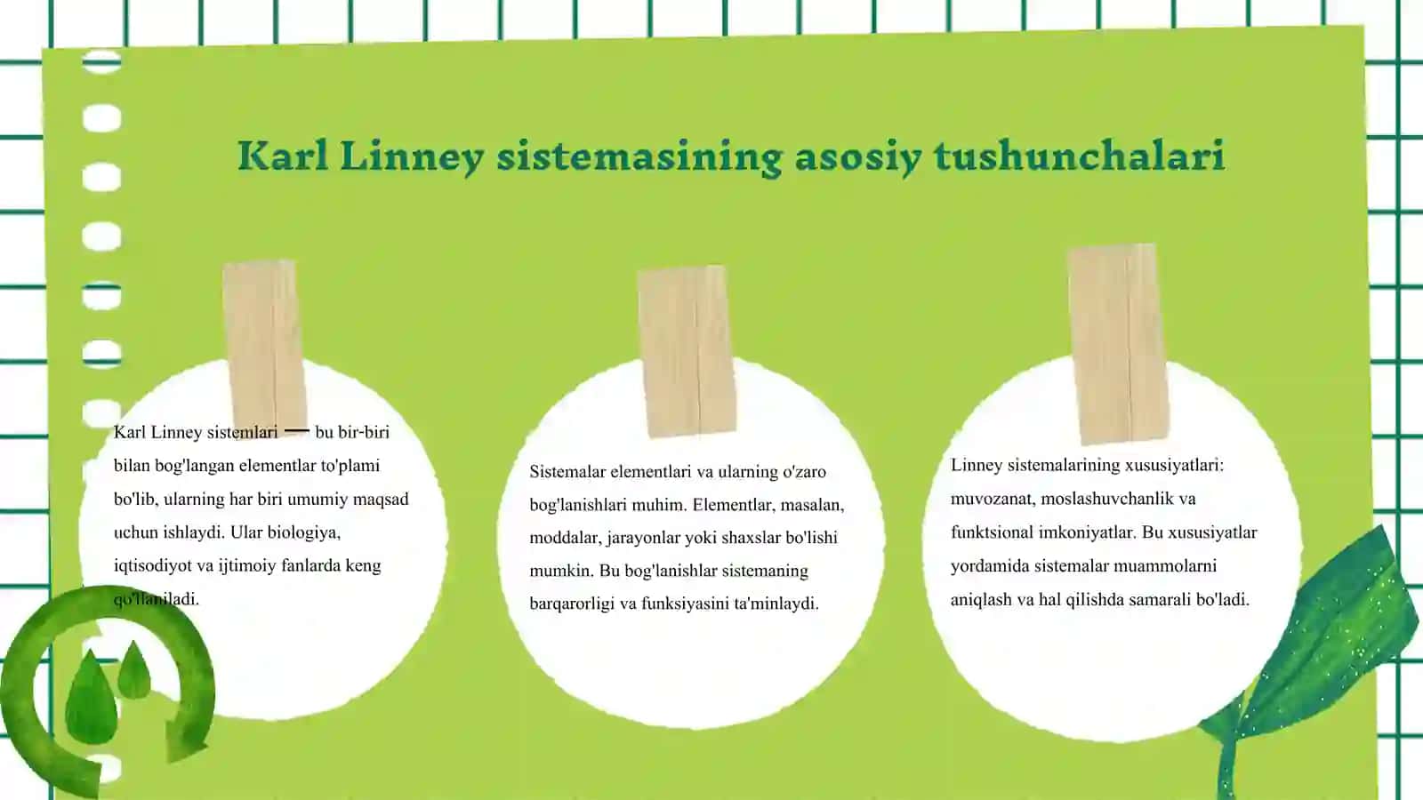Karl Linney sistemasi va uning tahlili 3