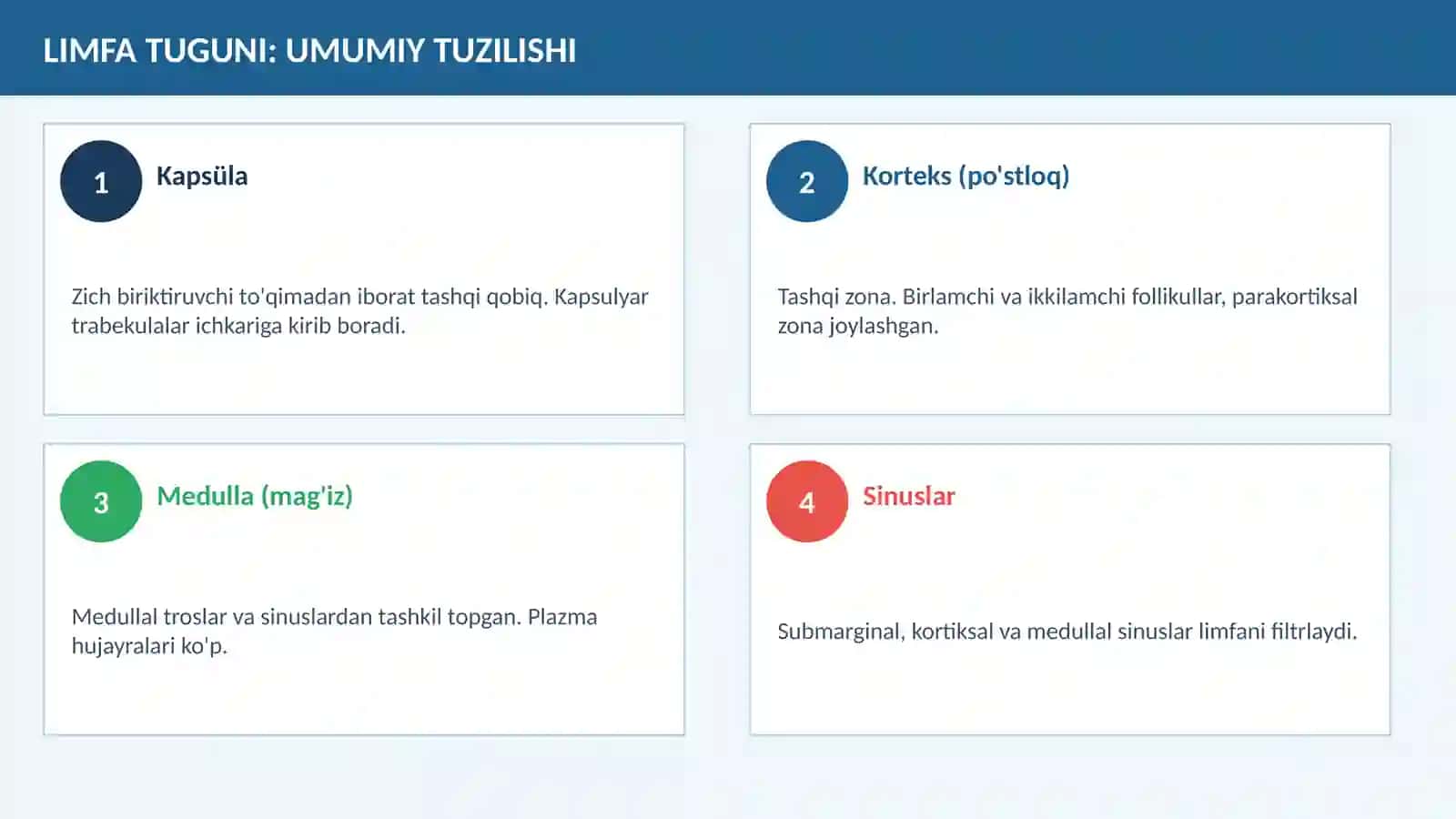 LIMFA TUGUNLARI 3