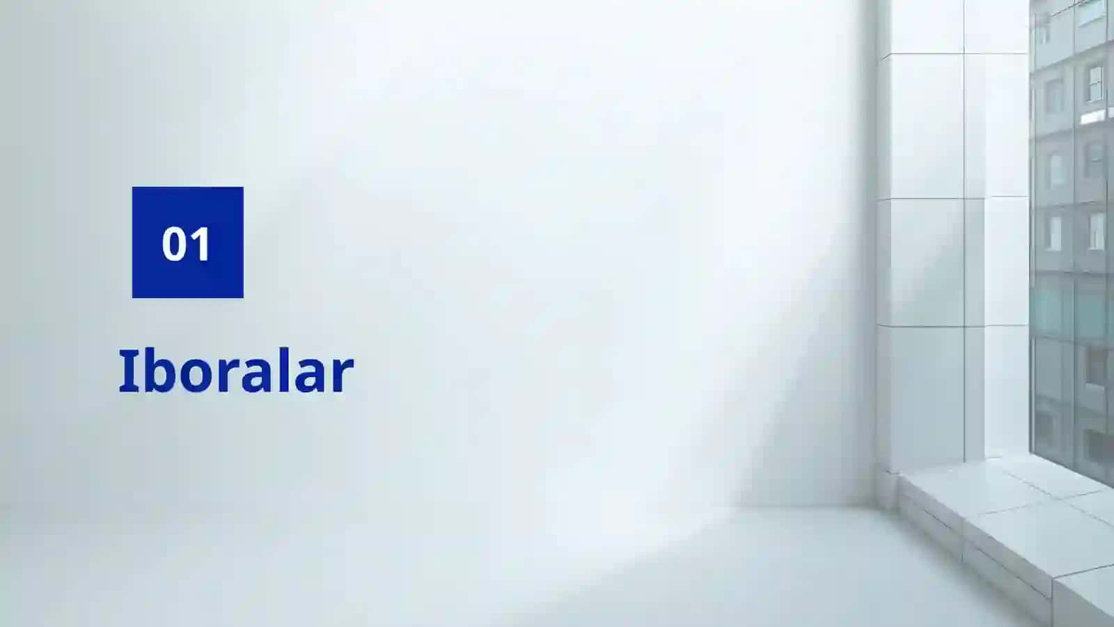 Anatomik Iboralar 3