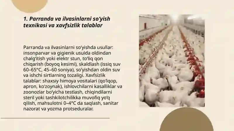 Parranda va ilvasinlarga dastlabki ishlov berish va ulardan yarim tayyor mahsulotlar tayyorlash 3