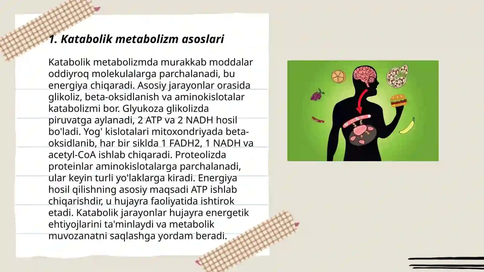 Katabolitik metabolizm.Mikrob hujayrasining energiya olish usullari 3