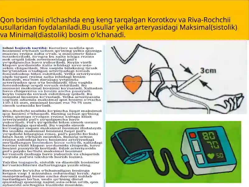 Jismoniyyuklamalarning yurak qontomir va nafas tizimi faoliyati gata'siri 3