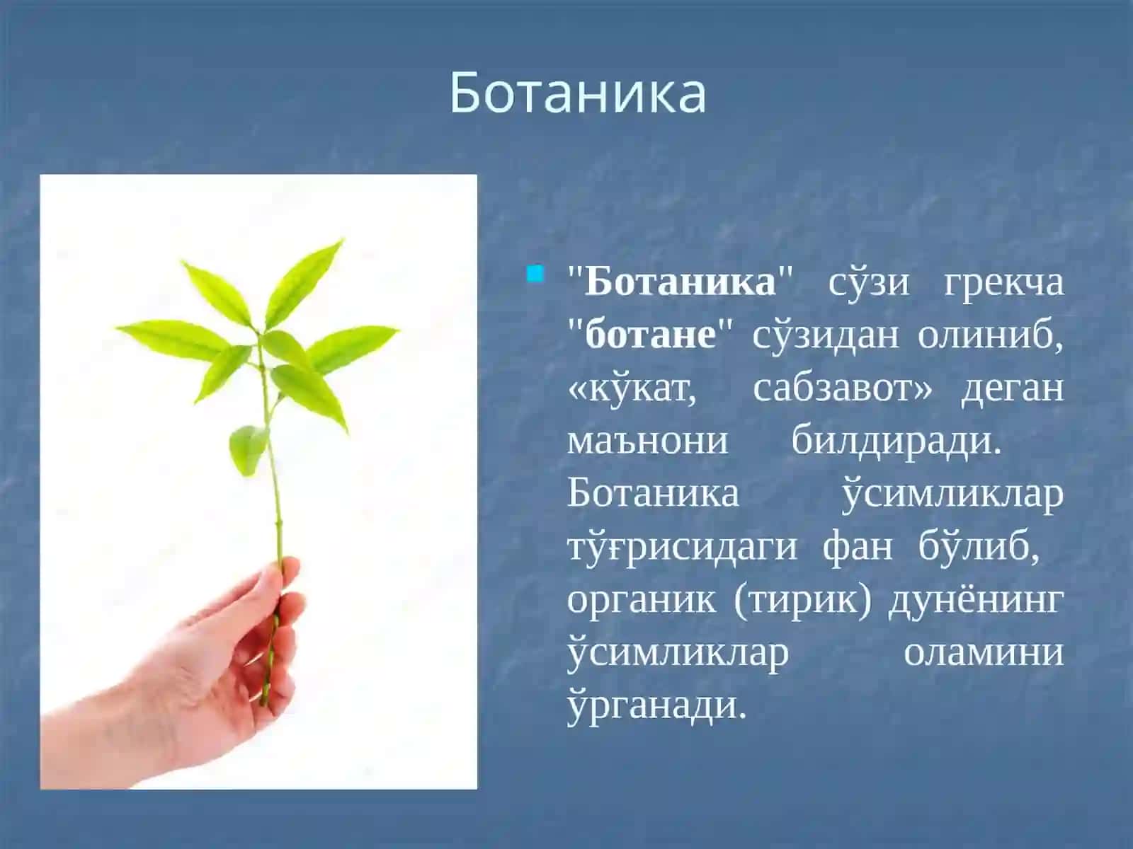 Ботаника фанига кириш 3