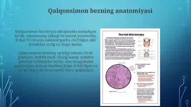 Qalqonoldibezfiziologiyasi 3