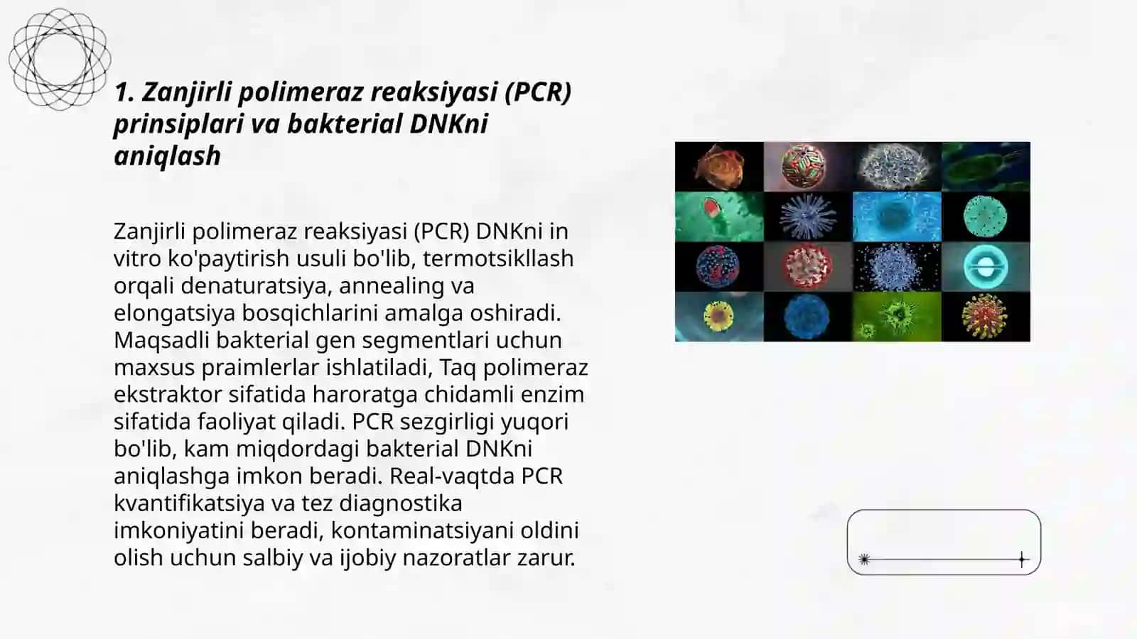 Zanjirli polimeraz reaksiyasi (PCR) orqali bakterial infeksiyalarni aniqlash 3