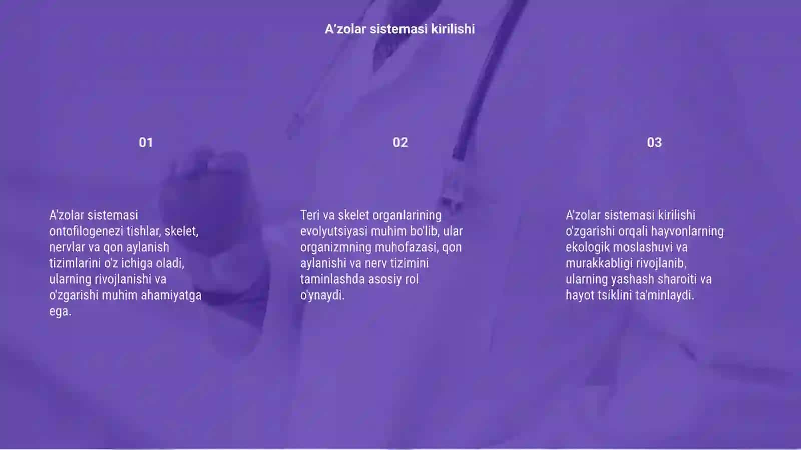 Aʼzolar sistemasi ontofilogenezi 3