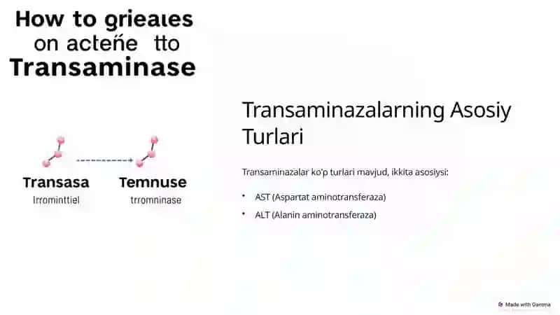 Transaminazalar: Klinikahamiyati 3