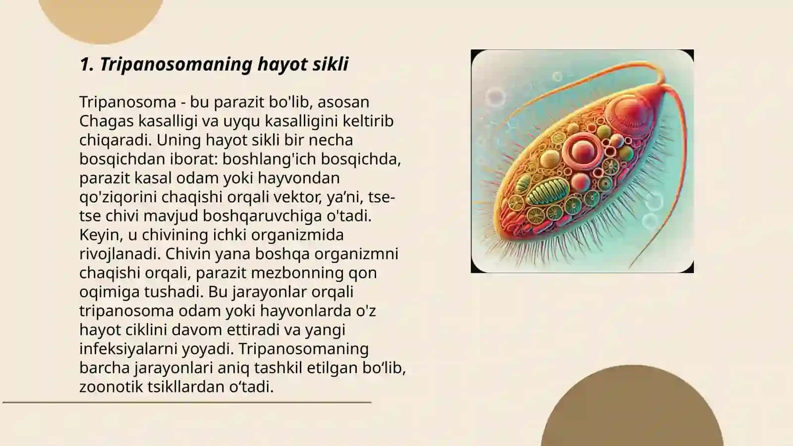 Tripanosoma va leyshmaniyalar 3