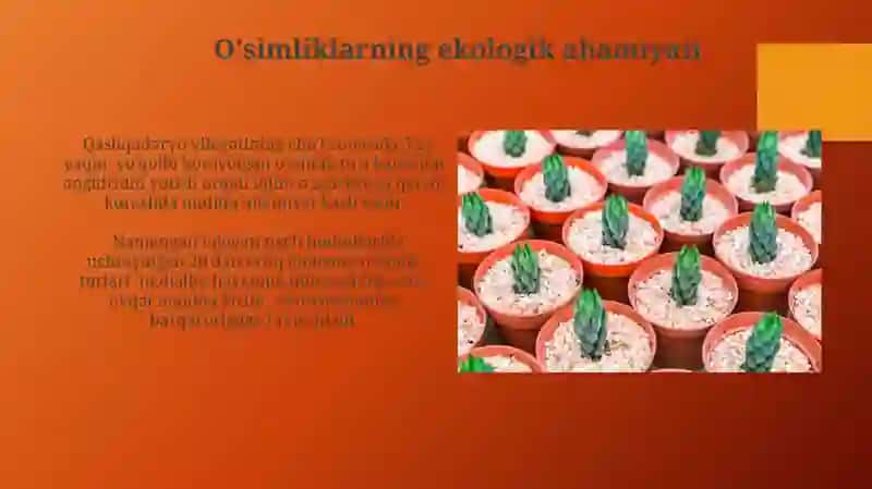 Oʻzbekiston Respublikasi Qizil kitobiga kiritilgan ósimliklar 3