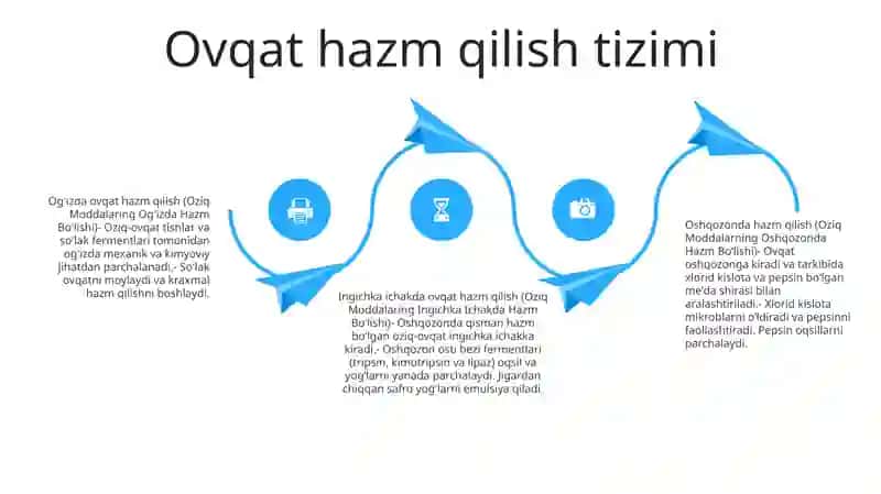Oziq Moddalarning Inson Organizmida Hazm Bo‘Lishi 3