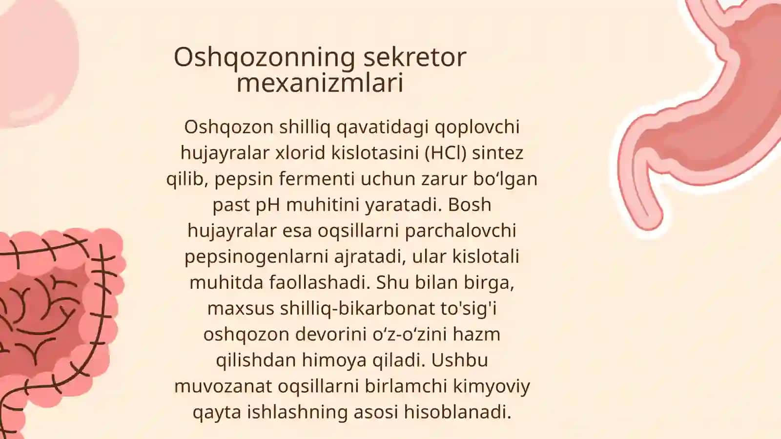 Hazm tizimining fiziologik mohiyati 3